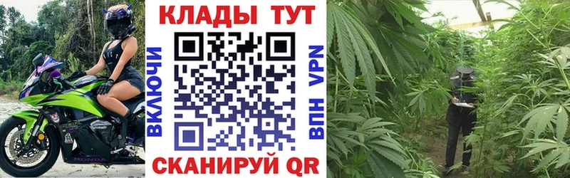 Как найти наркотики Ивангород A PVP  АМФ  Гашиш  Марихуана  Меф мяу мяу 